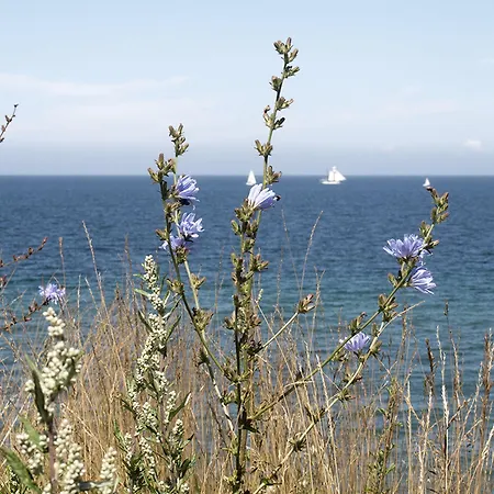 Hotel Strand26 An Der Ostsee