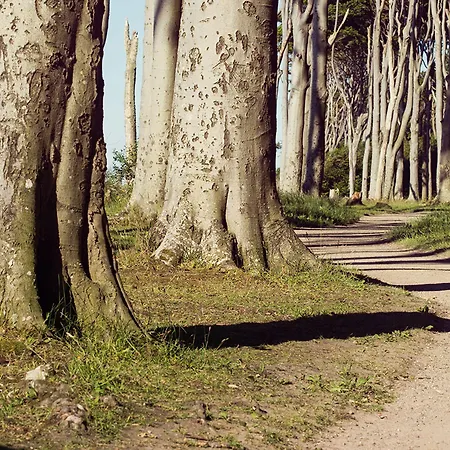 Strand26 An Der Ostsee Hotel 3*