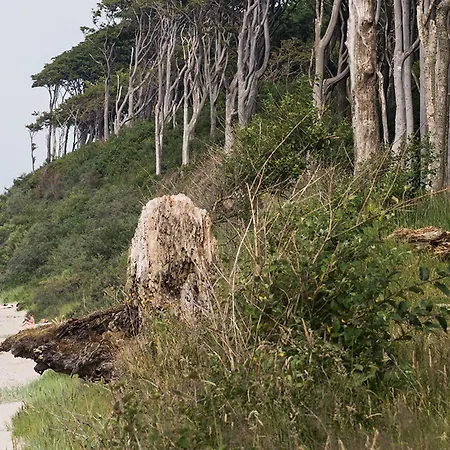 Strand26 An Der Ostsee Hotel
